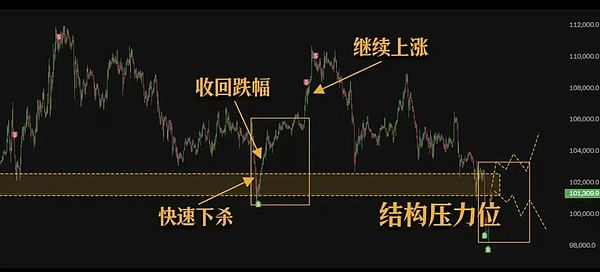 牛市狂欢！看我如何精准抓住BTC和ETH暴涨行情