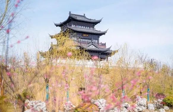 Web3教育新星EDU3：一场即将到来的教育革命