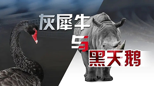XRP真能让你赚到百万美元吗？算算这笔账