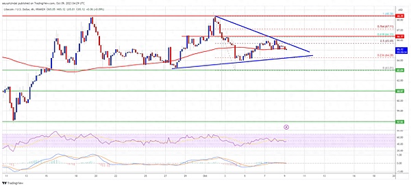 天演药业重磅披露：抗CTLA-4安全抗体ADG126最新临床数据即将亮相