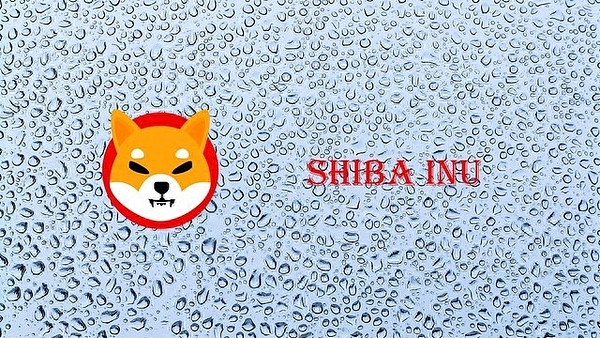 柴犬币未来走势：一场令人期待的加密市场博弈